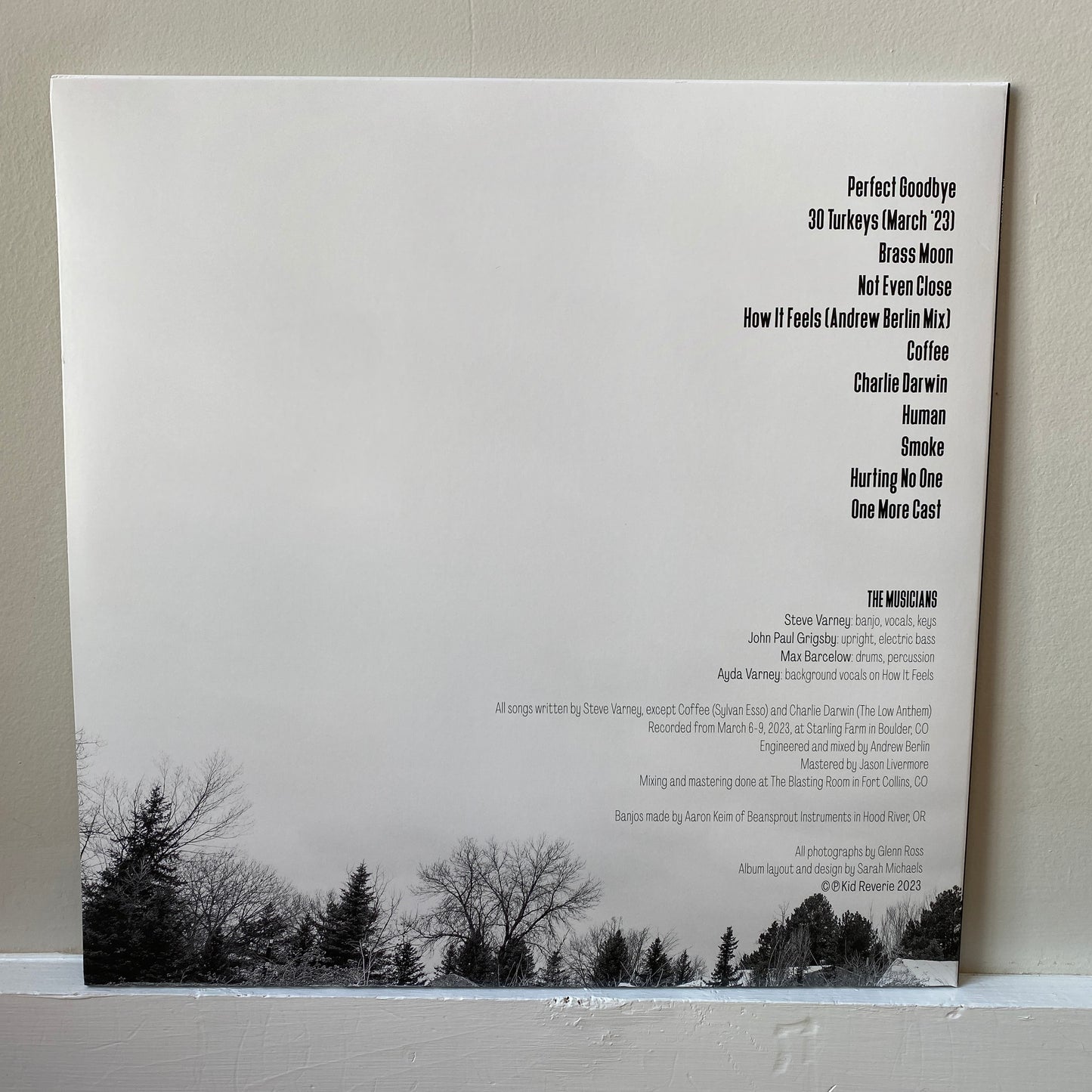 (2) The Banjo Record - black vinyl
